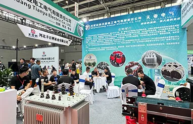 Tianya Electric appeared at the Smart Electrical Exhibition to help build a green and clean energy production and supply system