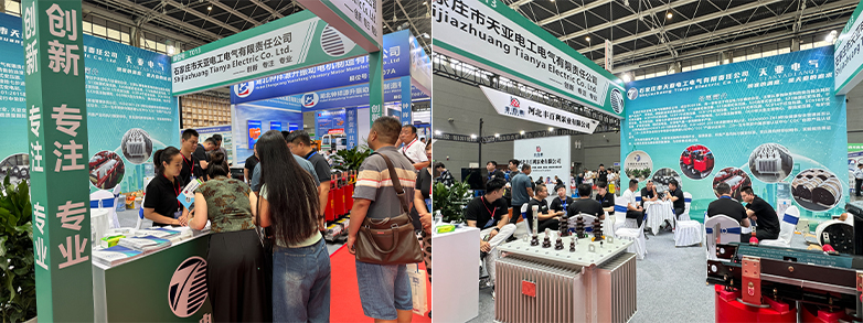 Tianya Electric appeared at the Smart Electrical Exhibition to help build a green and clean energy production and supply system