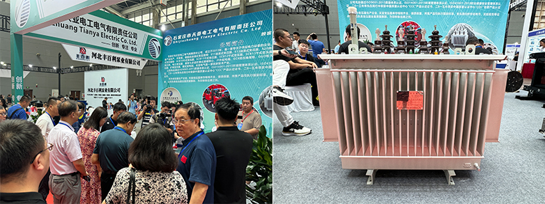 Tianya Electric appeared at the Smart Electrical Exhibition to help build a green and clean energy production and supply system